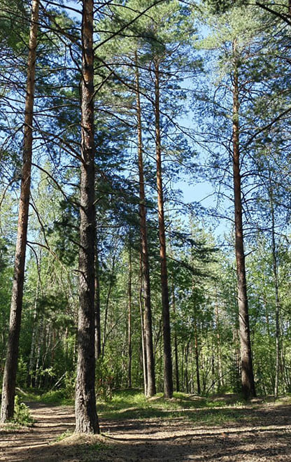 Надзор ООПТ