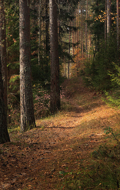 Управление ООПТ