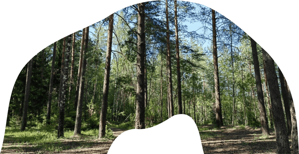 Об учреждении