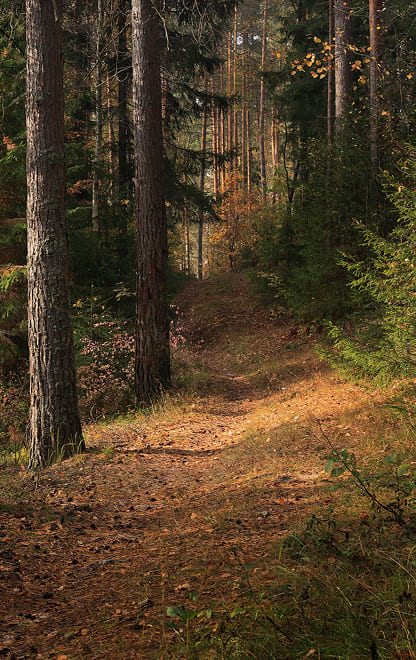 ООПТ регионального значения Владимирской области