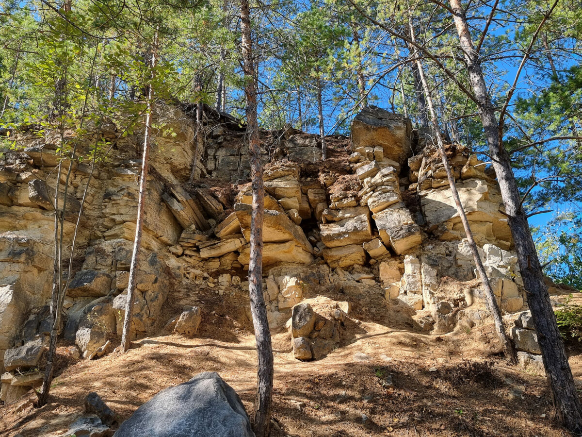 Путешествие по дну древнего моря
