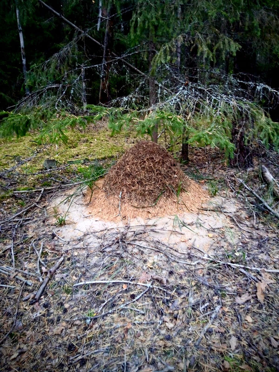 Пофилософствуем?