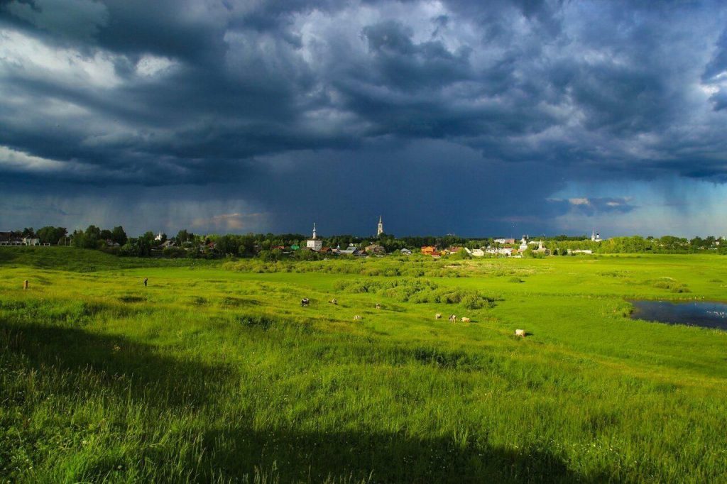 Общественные обсуждения по изменению режима заказника «Ильинский луг»