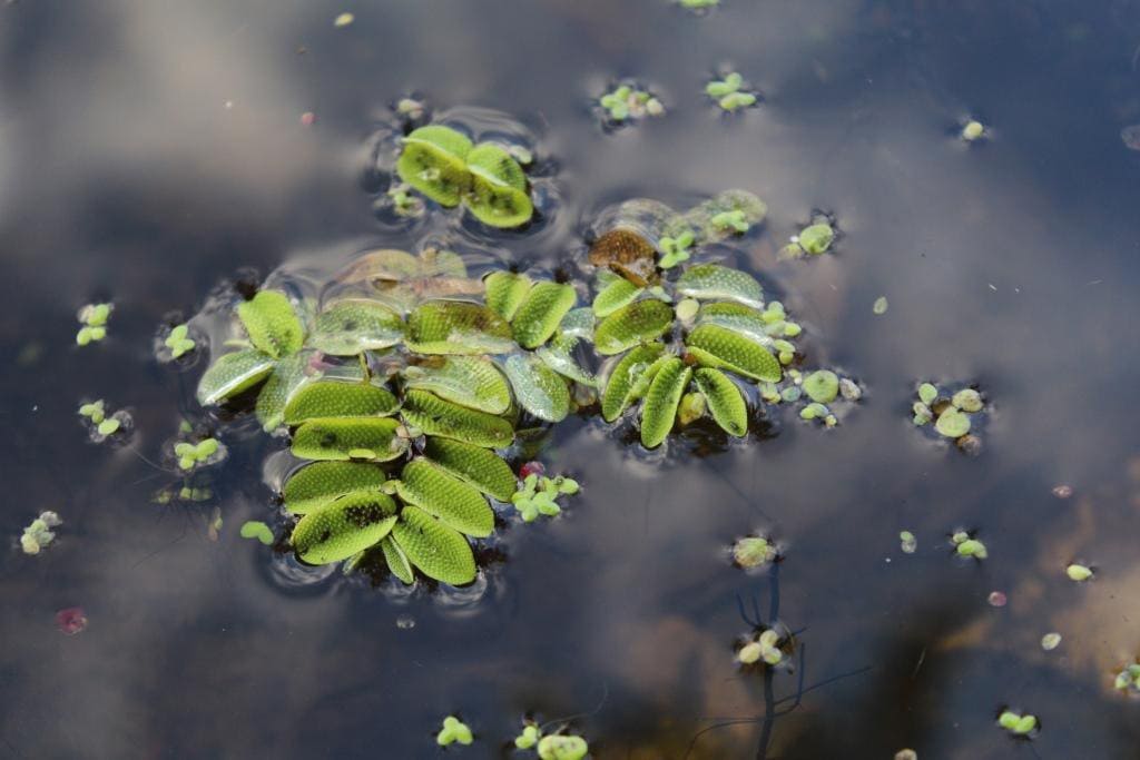 Сплав по реке Лух