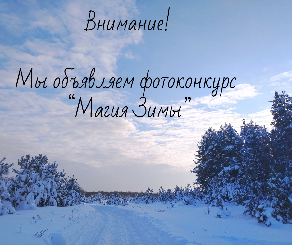 Фотоконкурс «Магия зимы»